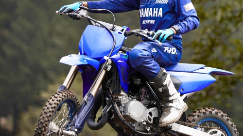 2024 YZ65