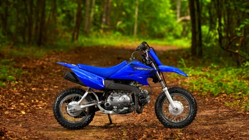 2023 TT-R50