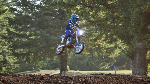 2024 YZ65