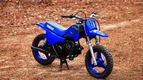2023 PW50