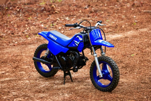 2025 PW50