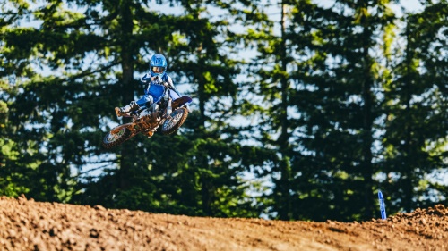 2025 YZ65