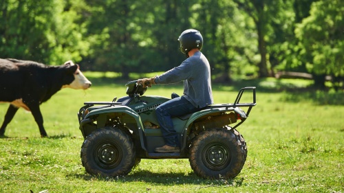 2022 Kodiak 700 EPS