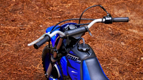 2023 PW50