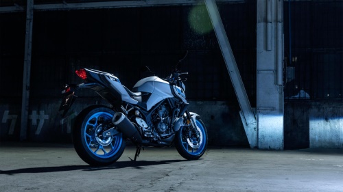 2025 MT-03
