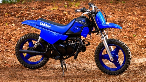 2023 PW50