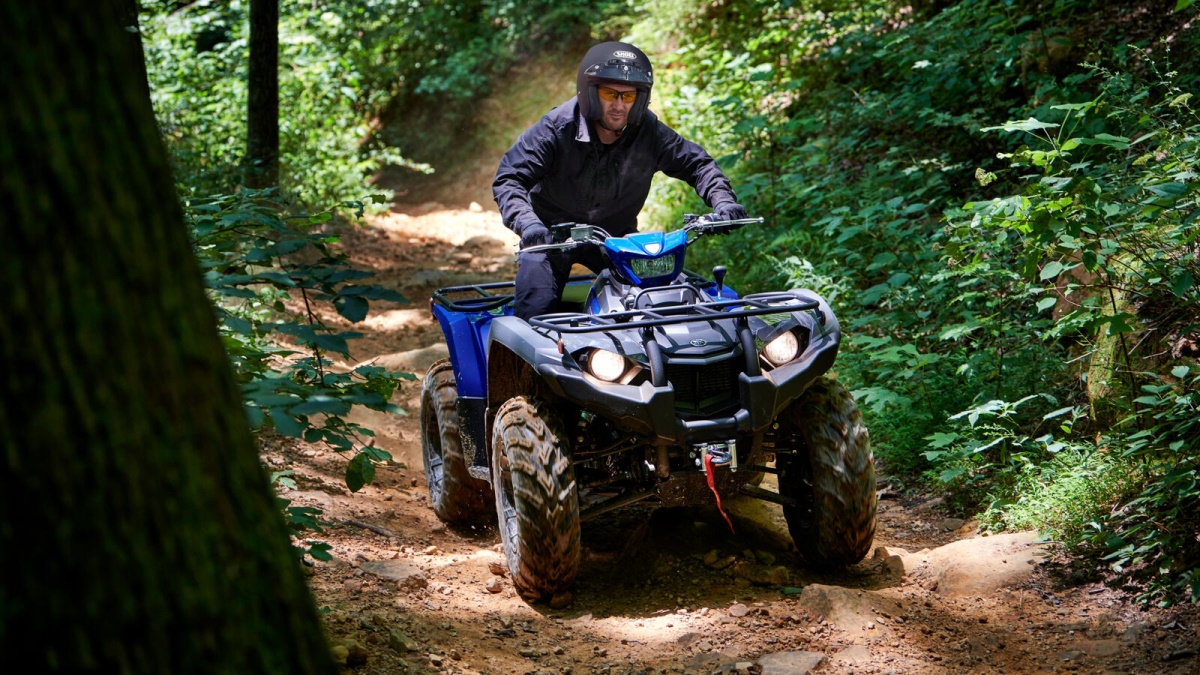 2022 Kodiak 450 EPS Alu SE Diff-lock