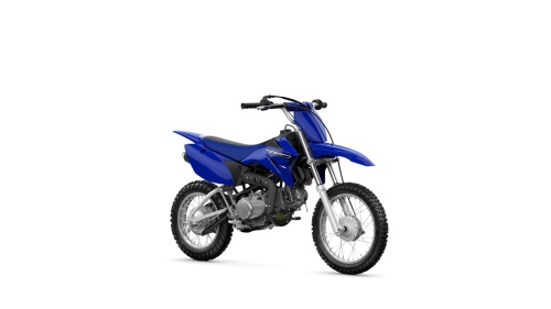 2023 TT-R110