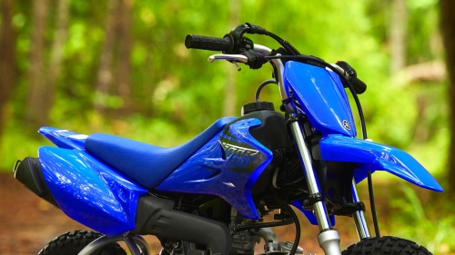2023 TT-R50