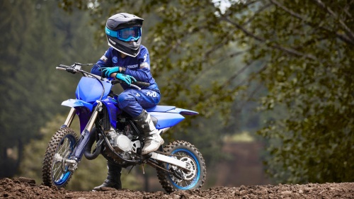 2024 YZ65