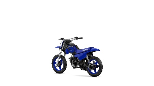2023 PW50