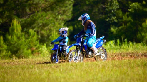 2023 PW50