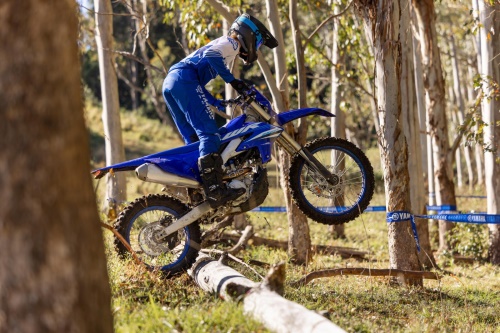 2025 WR250F
