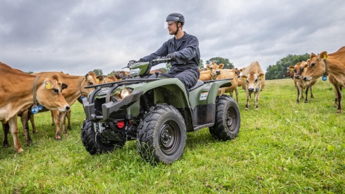 2022 Kodiak 450 EPS Diff Lock