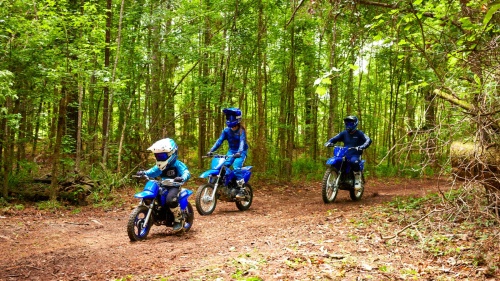 2023 PW50