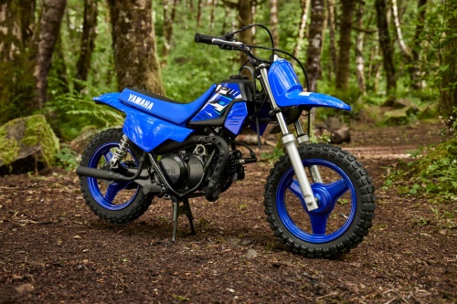 2026 PW50