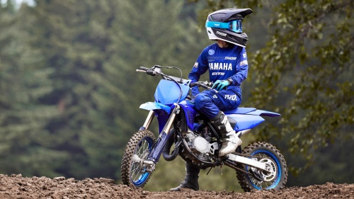 2024 YZ65