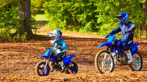 2023 PW50
