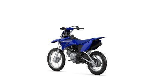2023 TT-R110