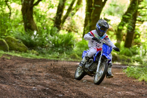 2025 TT-R110
