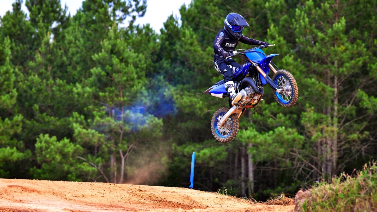 2023 YZ65