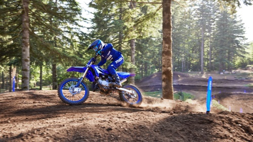 2024 YZ85