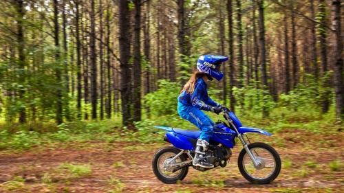 2023 TT-R110