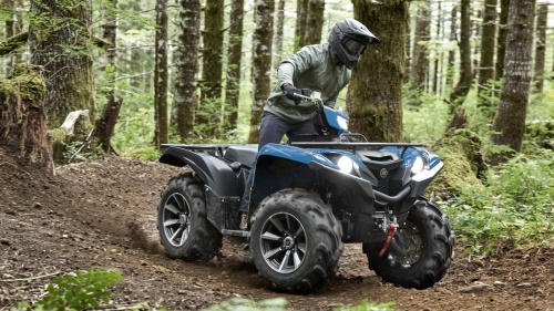 2025 Grizzly 700 SE | XTR