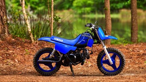 2023 PW50