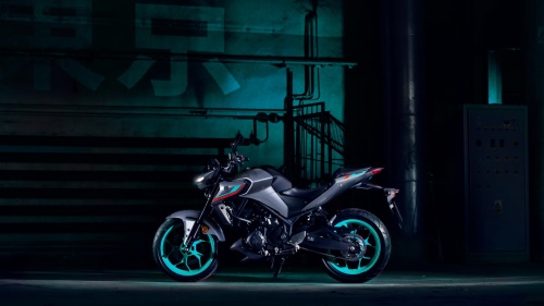 2023 MT-03