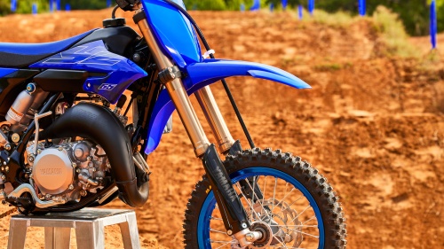 2023 YZ65