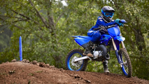 2024 YZ85