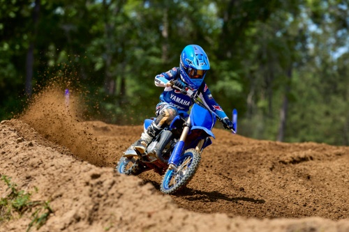 2026 YZ65