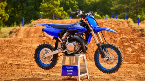 2023 YZ65