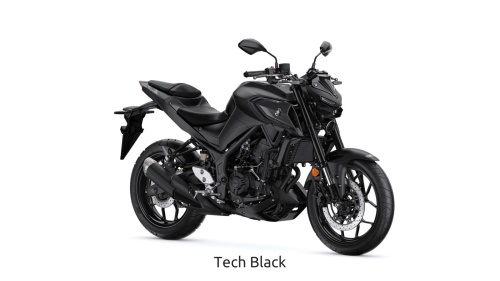 2023 MT-03