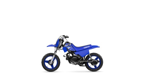 2026 PW50