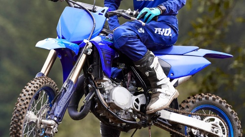 2024 YZ65