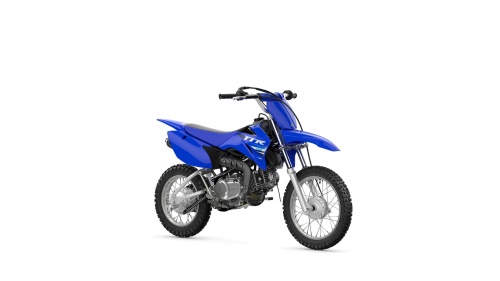 2025 TT-R110