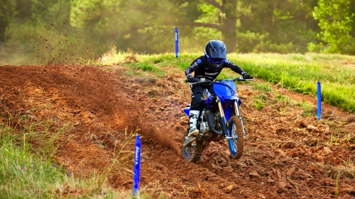 2023 YZ65