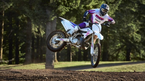 2024 YZ250 50th Anniversary Edition