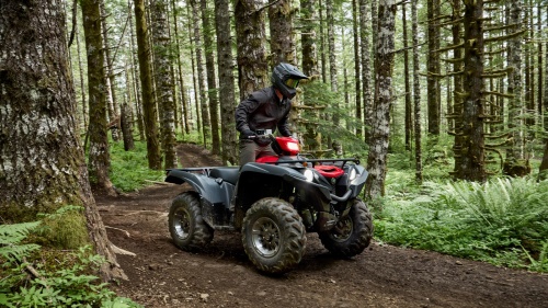 2025 Grizzly 700 