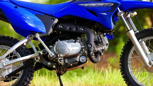 2023 TT-R110