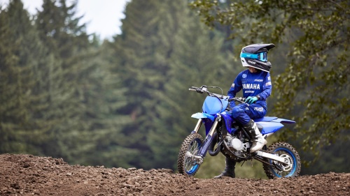 2024 YZ65