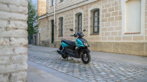 2025 RayZR