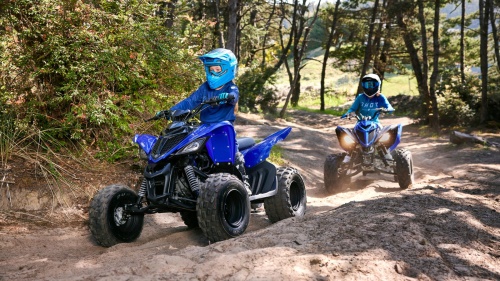 2025 YFM110R