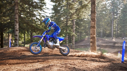 2024 YZ65