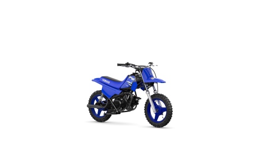 2025 PW50