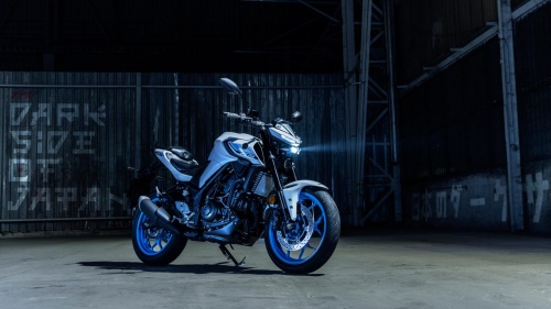 2025 MT-03