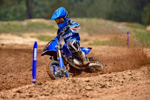 2026 YZ65