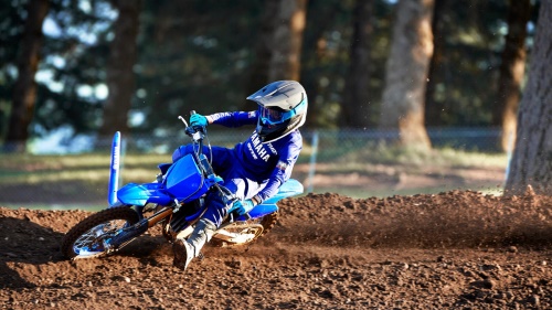 2024 YZ65